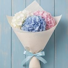 Букет цветов из:  Гортензия #REPLACE_PRED# Петровское