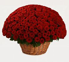 Премиум букет из: Розы в Петровское